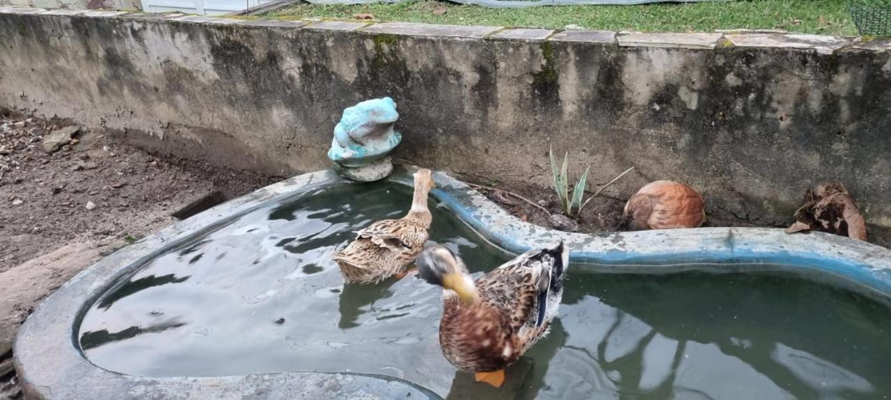 Itaparica - Vera Cruz 12 Pessoas Экстерьер фото