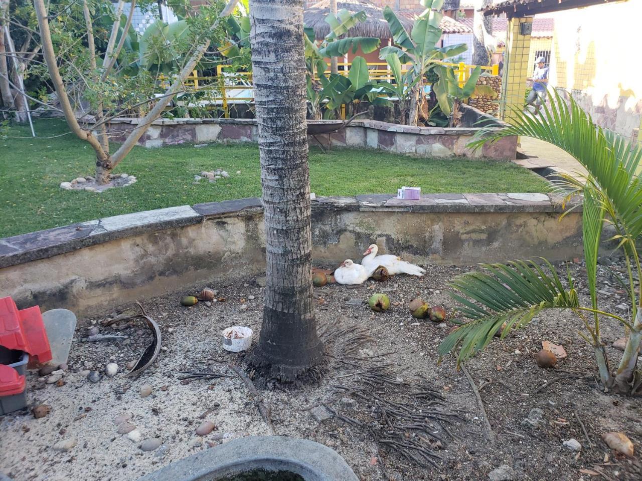 Itaparica - Vera Cruz 12 Pessoas Экстерьер фото